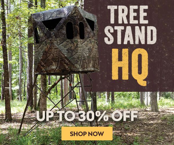 Tree Stands