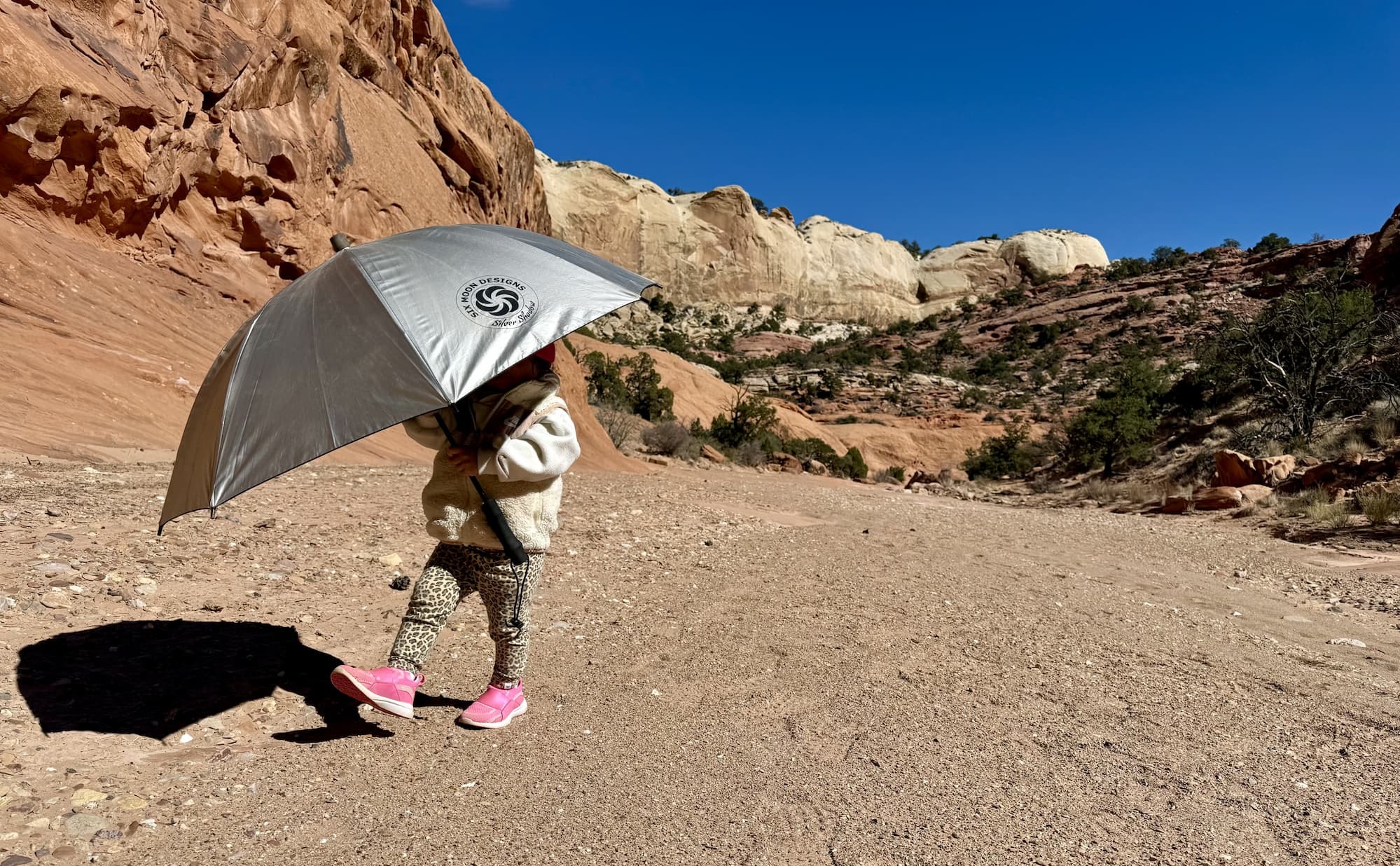 kid with umbrella in desert