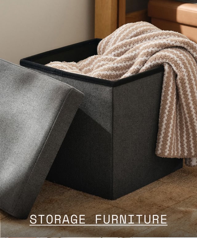 Storage Furniture
