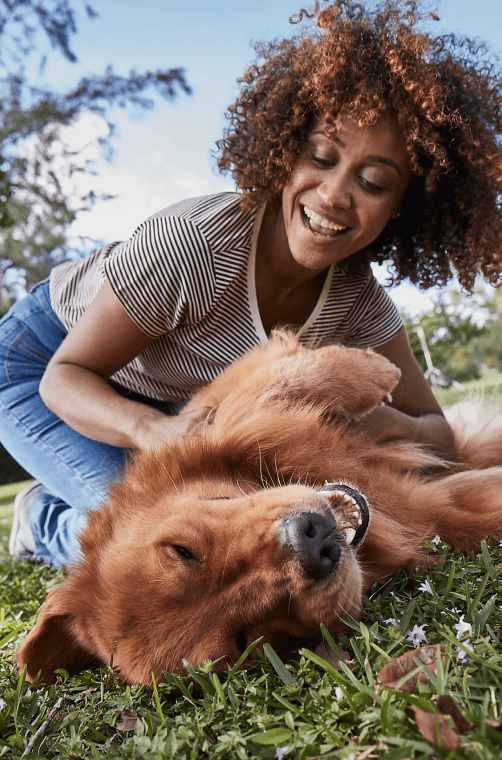 Happy Dog Image