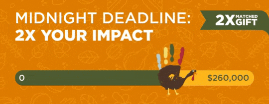 Midnight Deadline: 2x Your Impact. Hand turkey thermometer sliding towards $260,000.