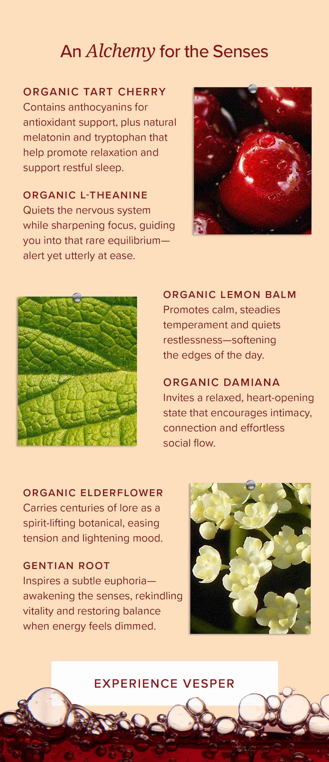 An Alchemy for the Senses