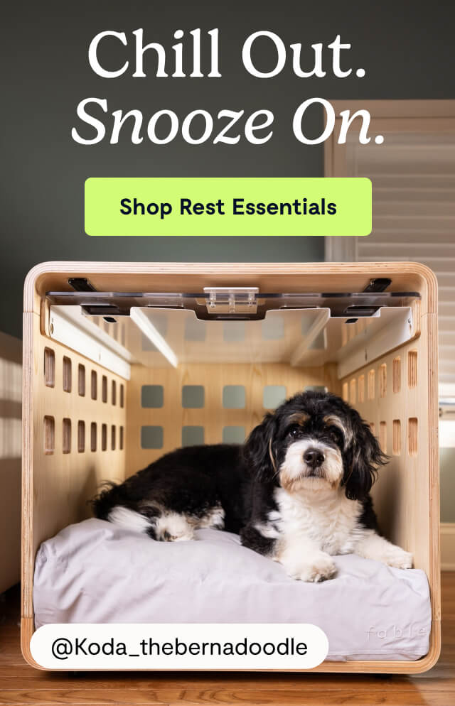 Chill Out. Snooze On.