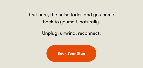 Out here, the noise fades and you come back to yourself, naturally.