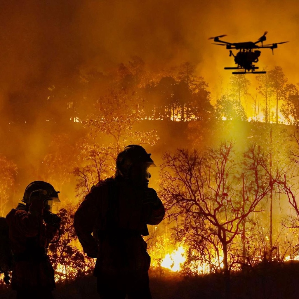 Wildfire