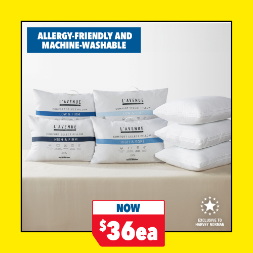 Comfort Select Standard Pillow by L'Avenue