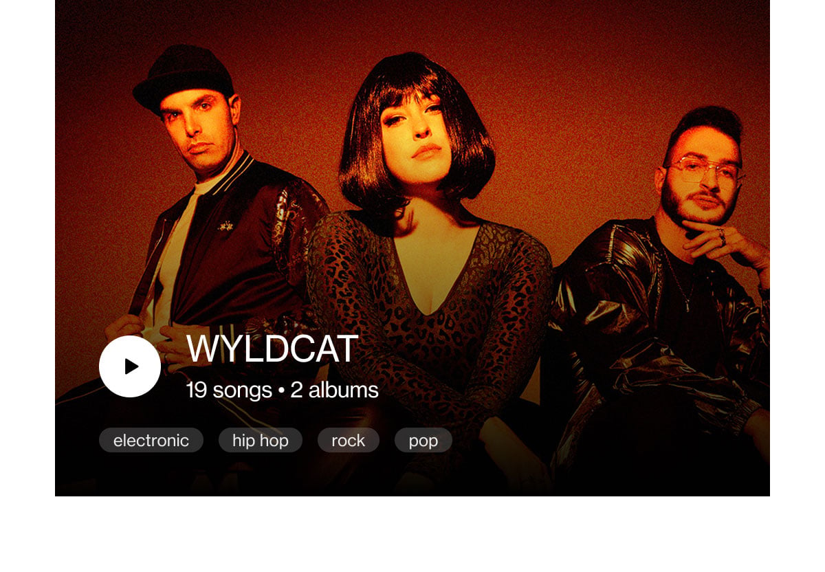 Wyldcat, 19 Songs, 2 Albums