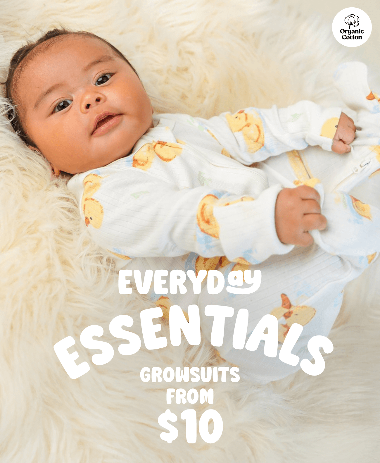 Everyday Essentials