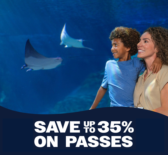 Plan your visit!