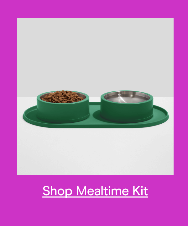 Mealtime Kit