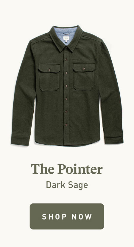 Pointer Dark Sage