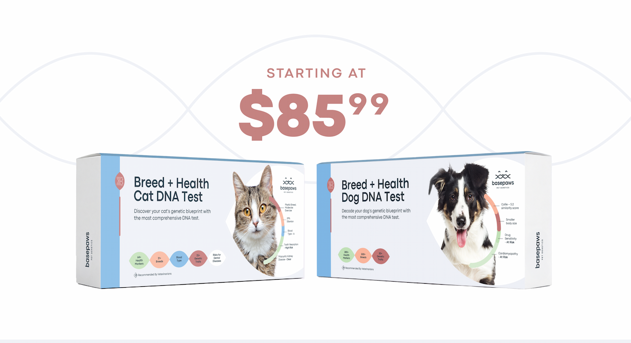 Starting at $85.99