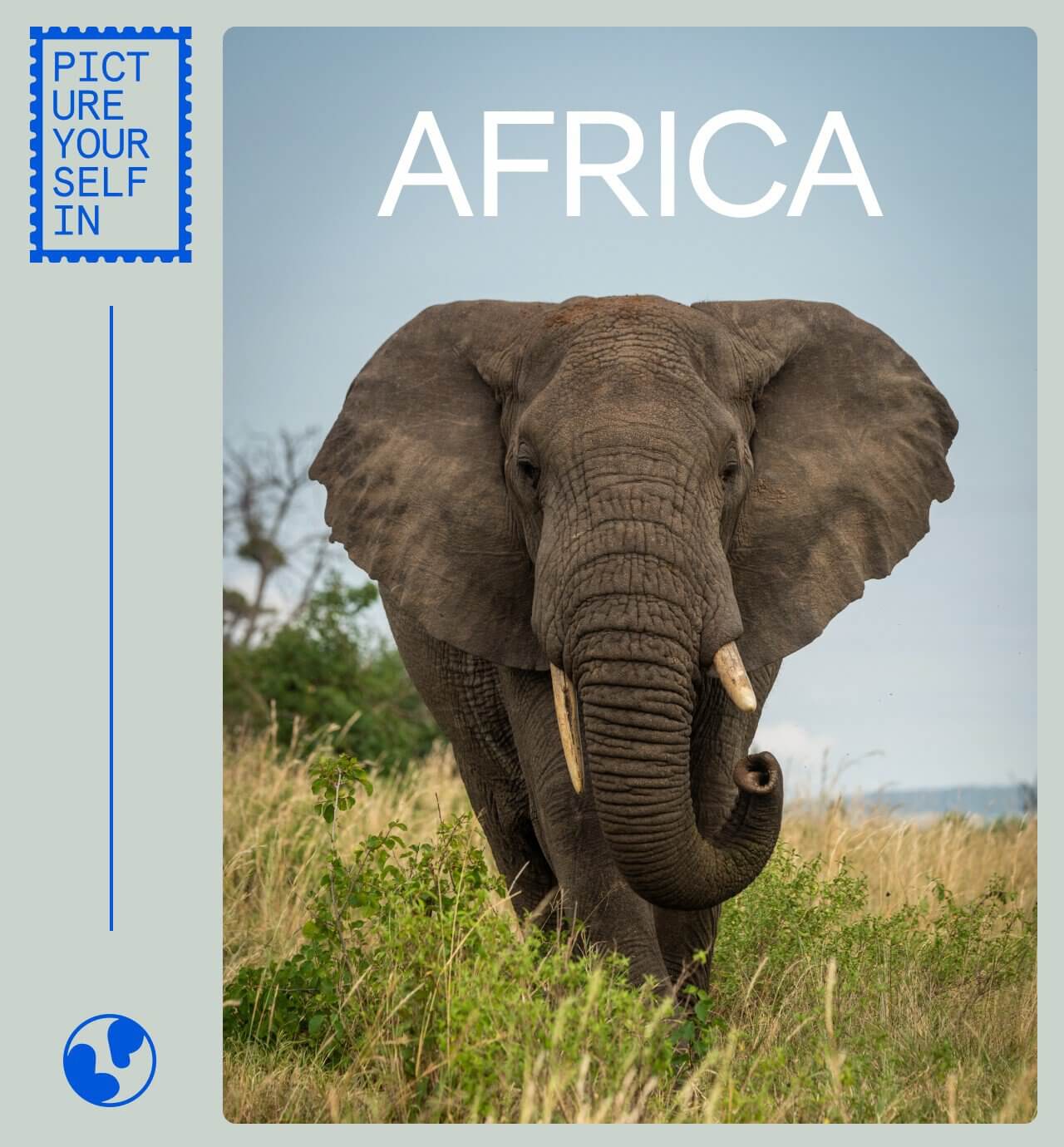 Picture Yourself in Africa