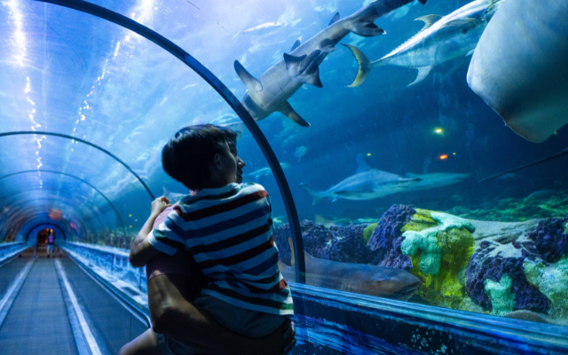 Plan your visit!
