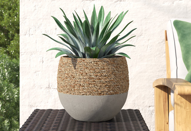 Best-Selling Planters