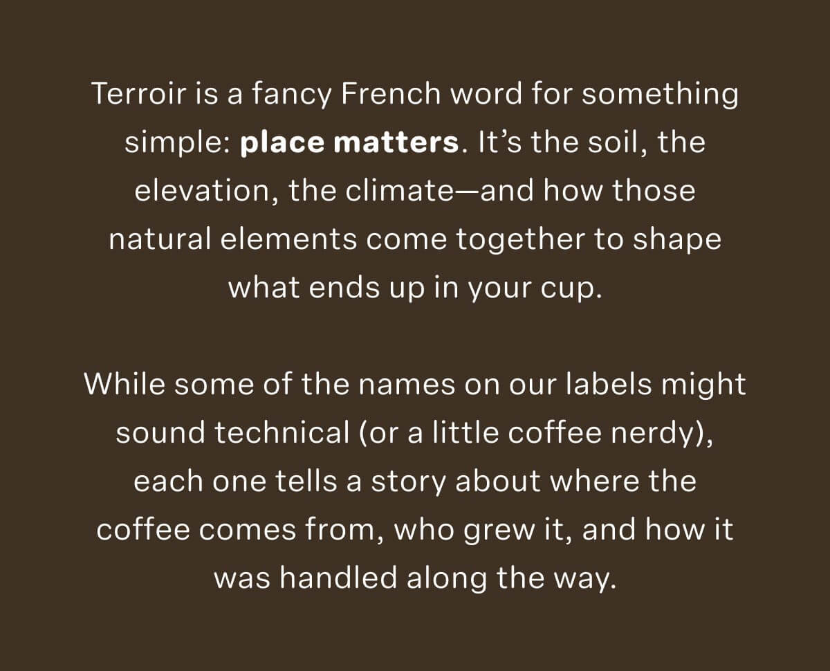 What is terroir