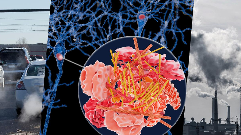 Collage showing car exhaust, smokestacks, and brain cells