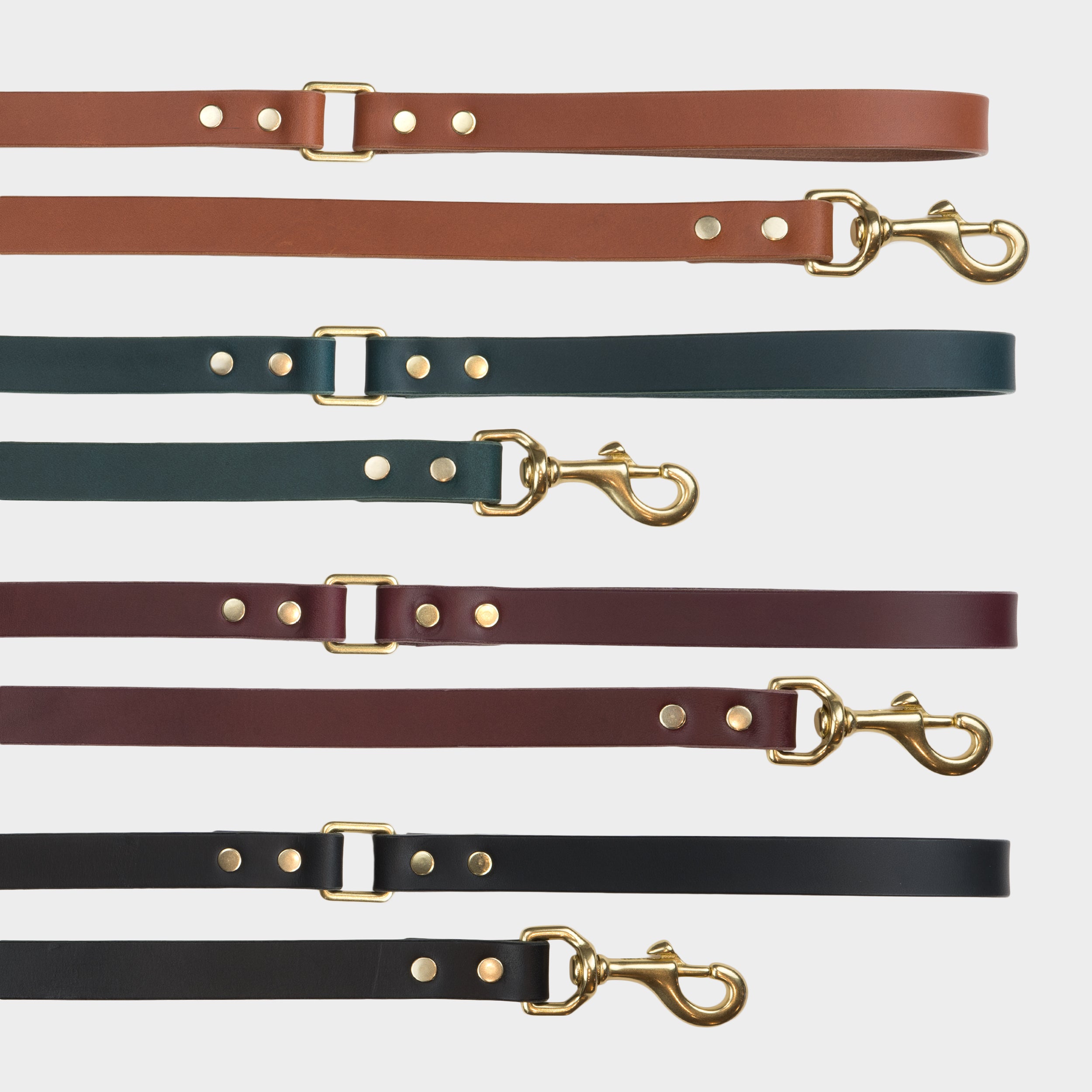 Image of Italian Leather Dog Leash