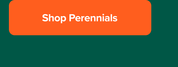 Shop perennials>>