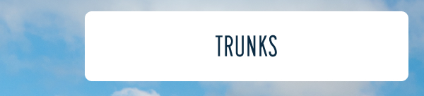 More to Love | [TRUNKS]