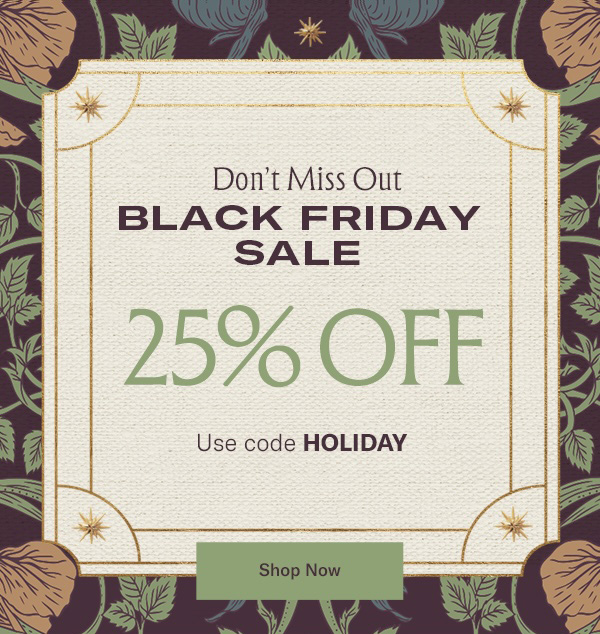 Black Friday Sale