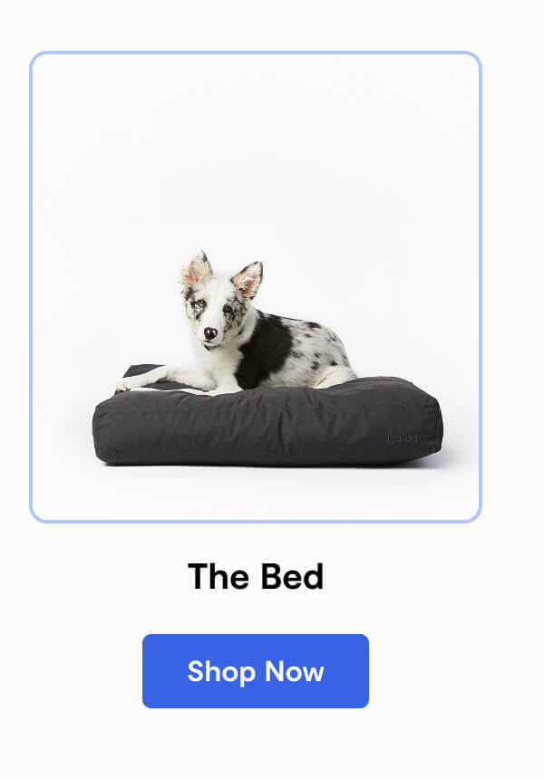 The Bed
