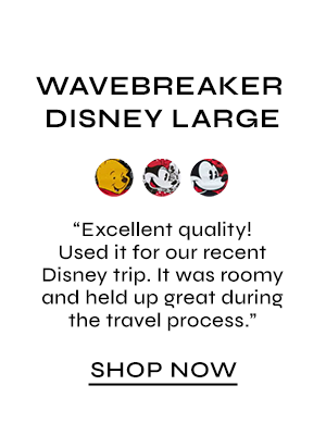 Wavebreaker Disney Large
