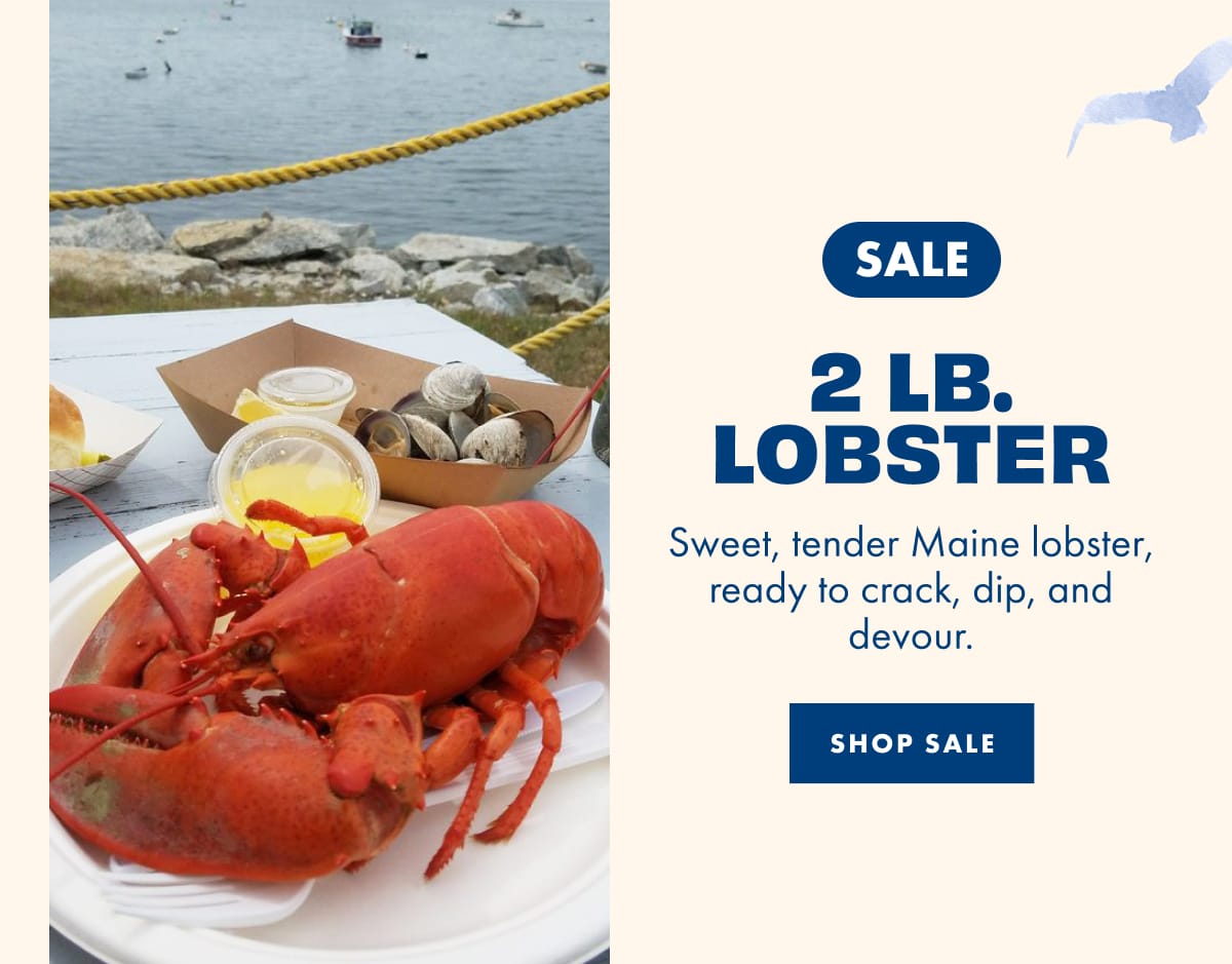 2 lb. Lobster