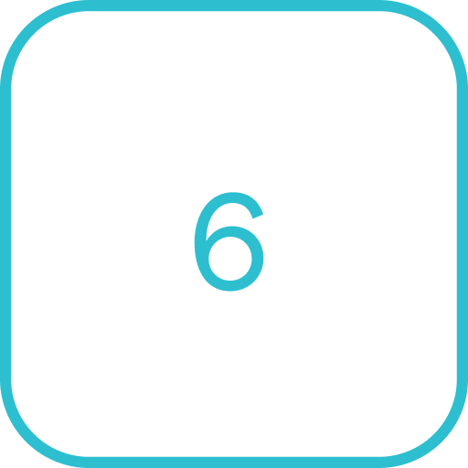 6