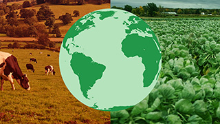 Illustration of globe with cattle photo on left and agriculture photo on right