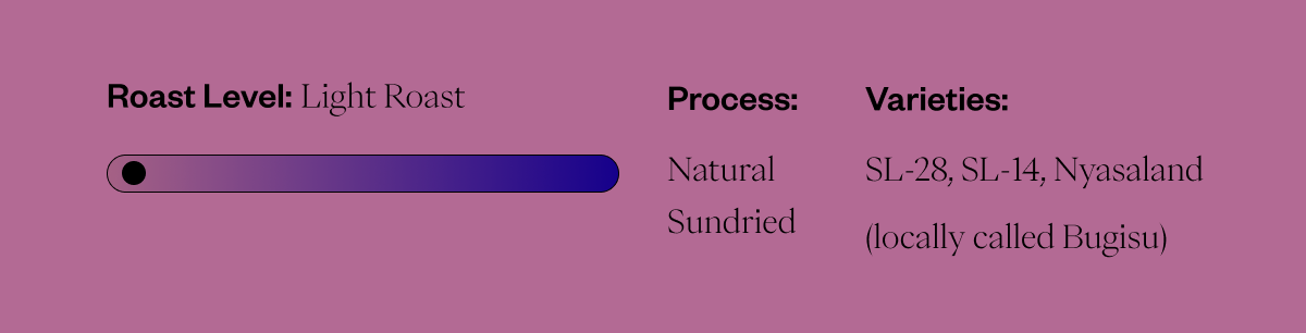 Roast Level: Light Roast Process: Natural Varieties: SL-28, SL-14, Nyasaland (locally called Bugisu)