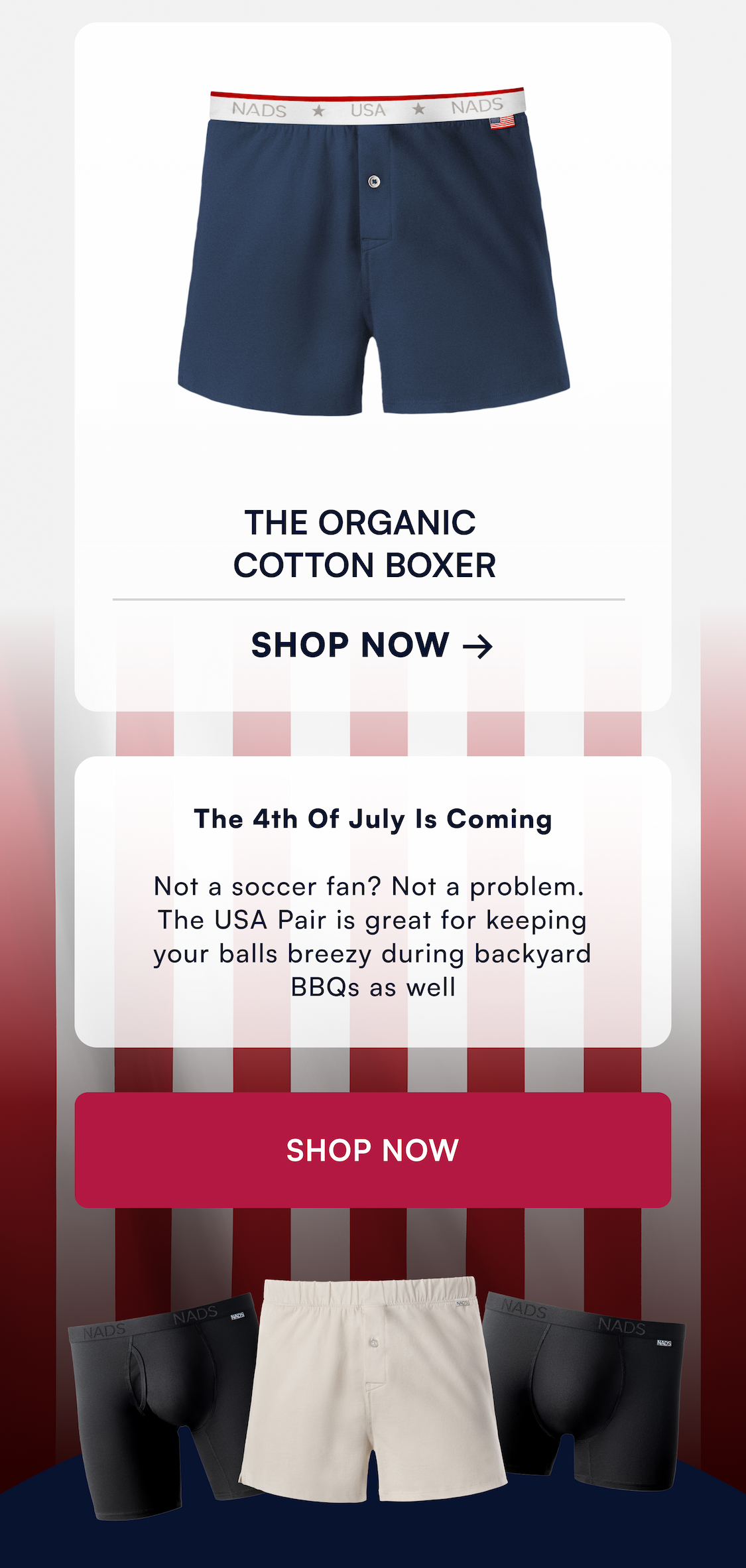 THE Organic Cotton Boxer Brief SHOP NOW →