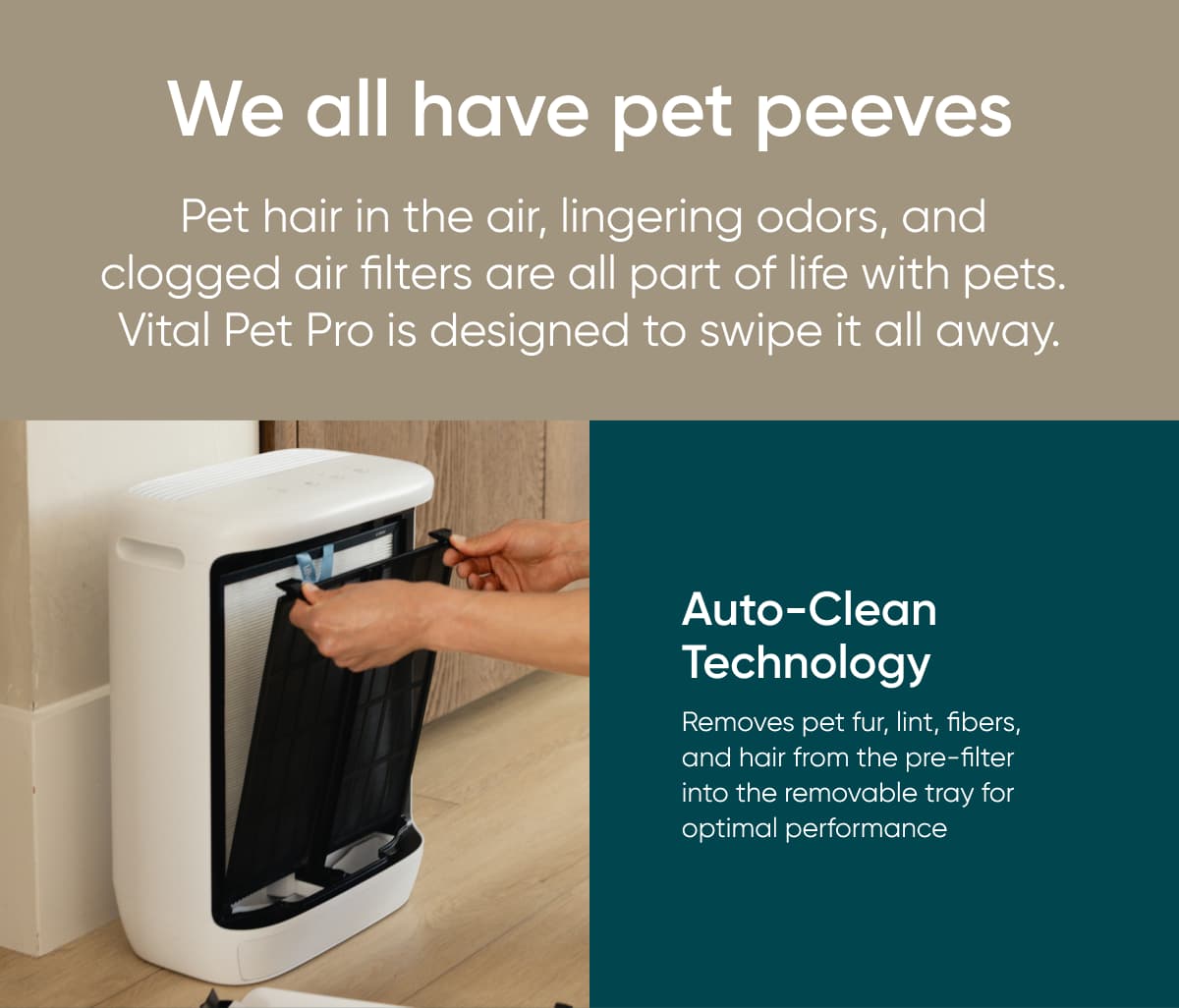 We all have pet peeves