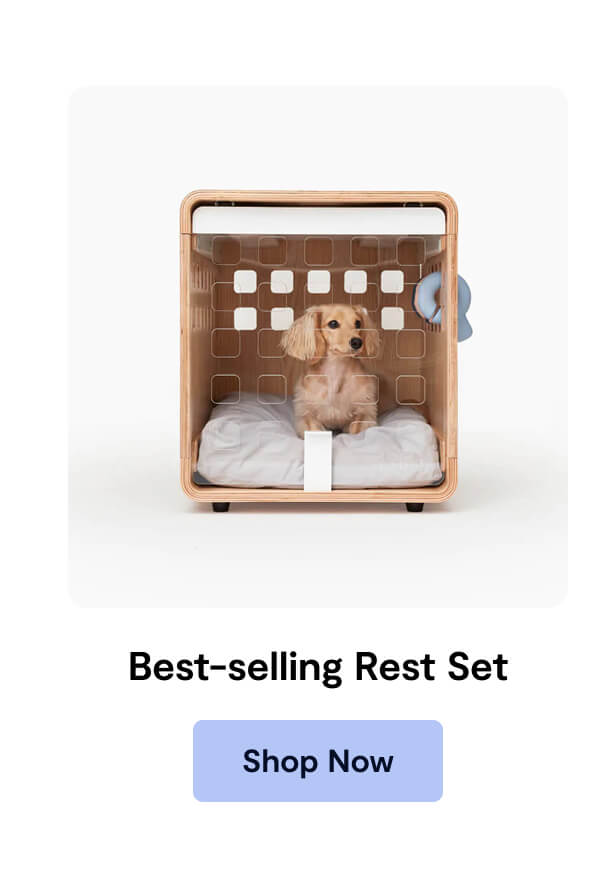 Best-Selling Rest Set