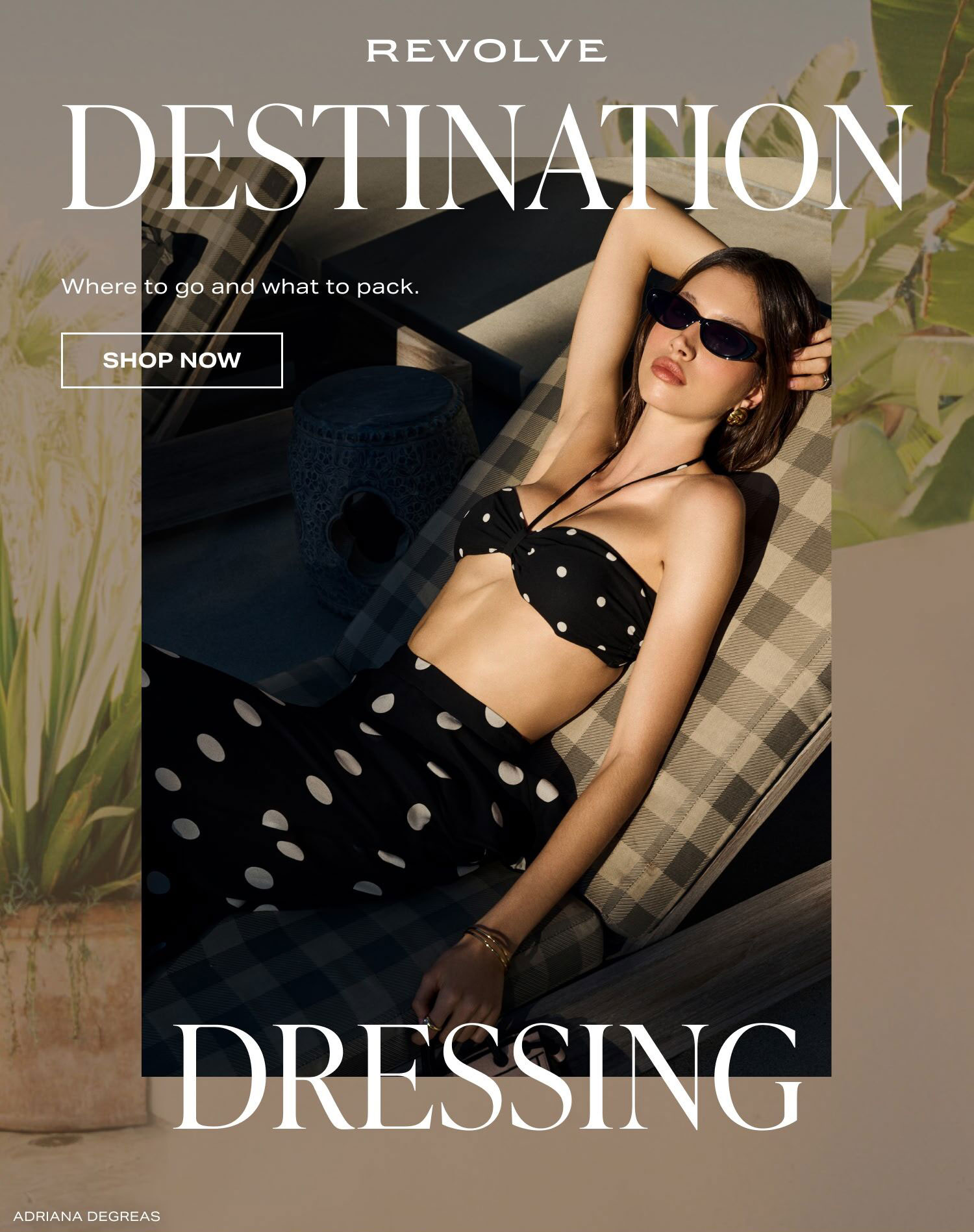 Destination Dressing. Shop Now!
