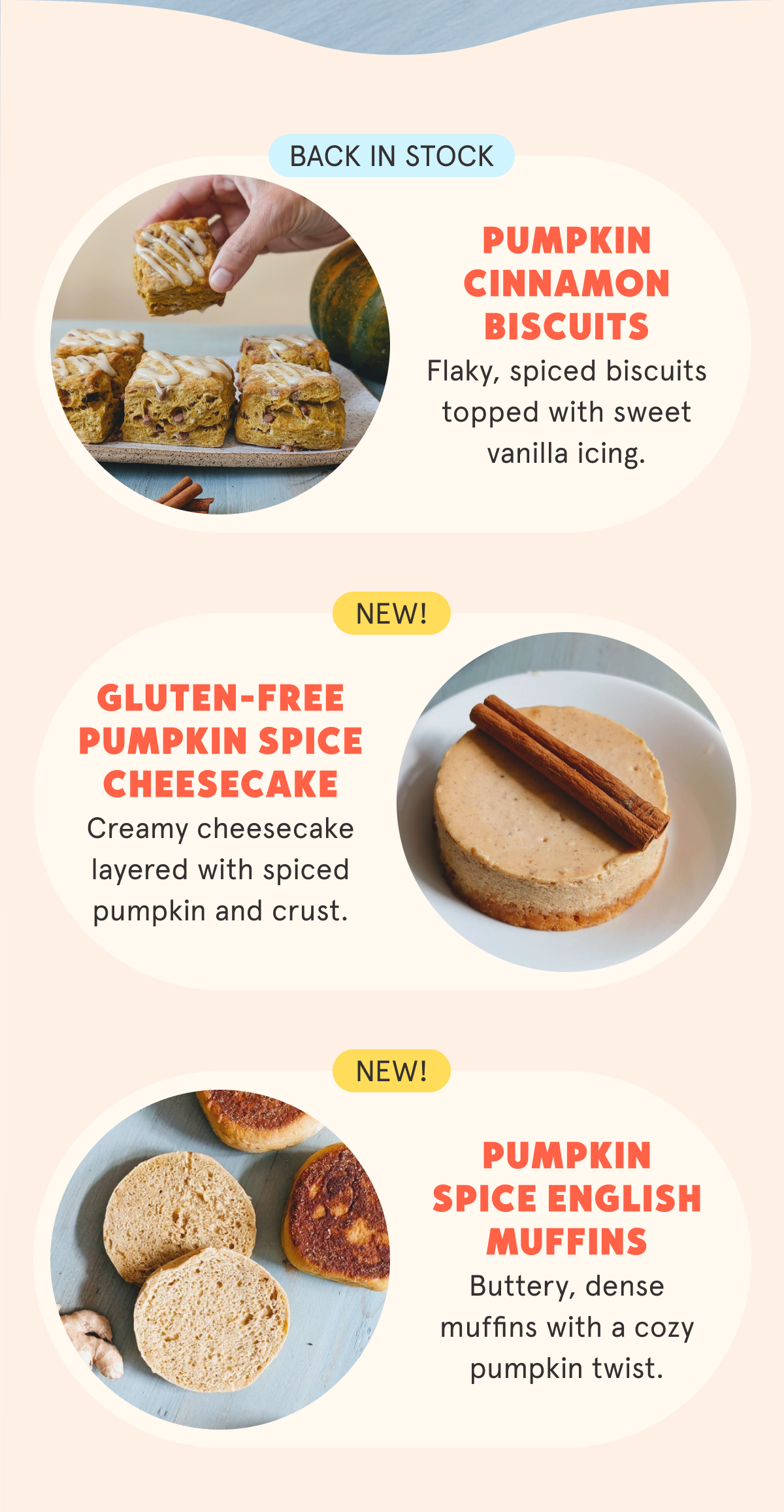 Pumpkin Cinnamon Biscuits (Back In Stock!) Sticker Flaky, spiced biscuits topped with sweet vanilla icing. Gluten-Free Pumpkin Spice Cheesecake (New!) Sticker  Creamy cheesecake layered with spiced pumpkin and crust. Pumpkin Spice English Muffins (New!) Sticker  Buttery, dense muffins with a cozy pumpkin twist.