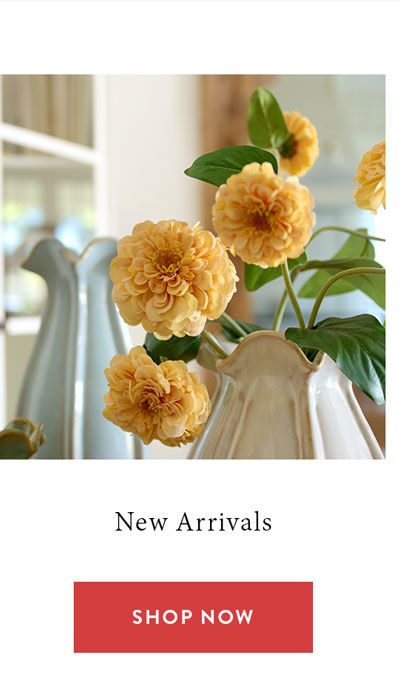 New Arrivals