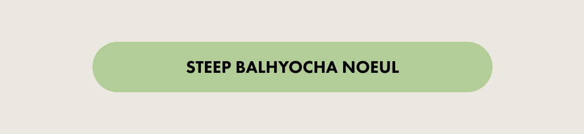 STEEP BALHYOCHA NOEUL