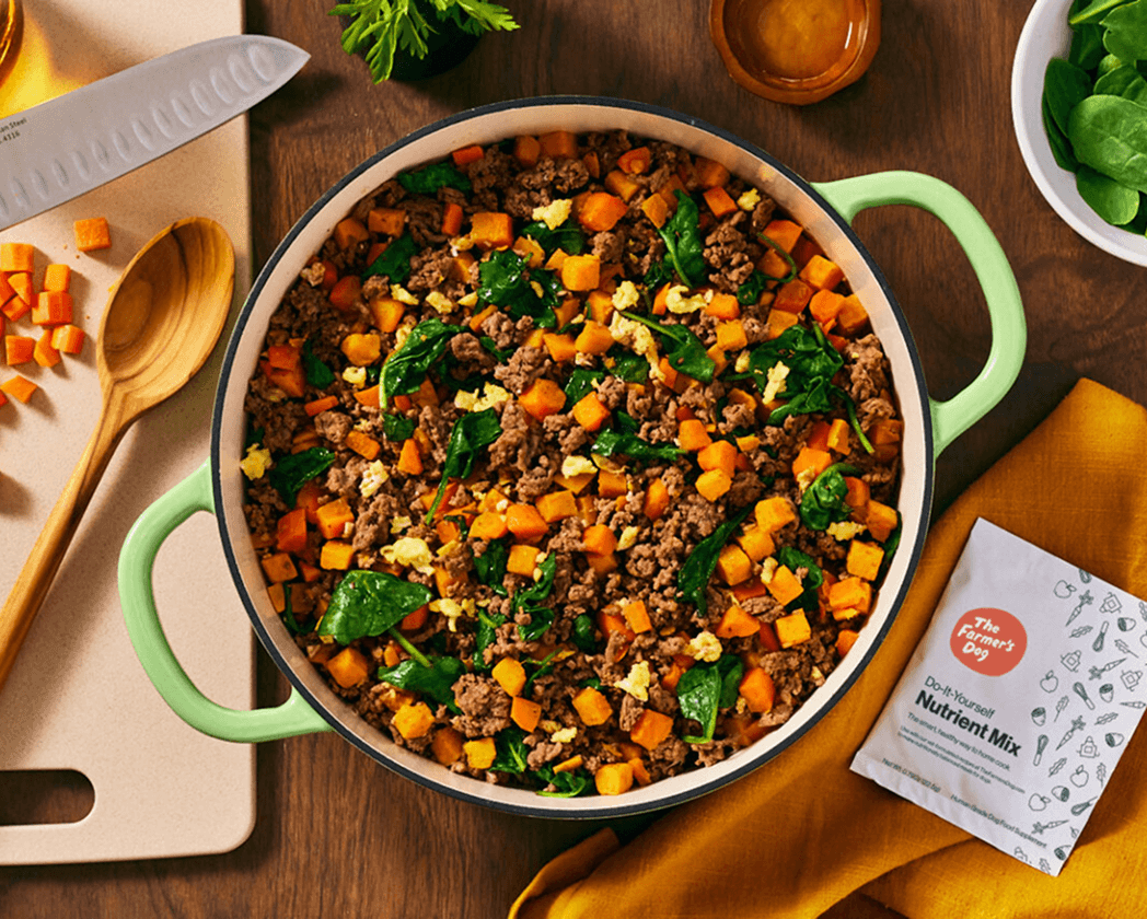 how-to-safely-cook-at-home-for-your-dog-with-the-farmers-dog-do-it-yourself-nutrient-mix