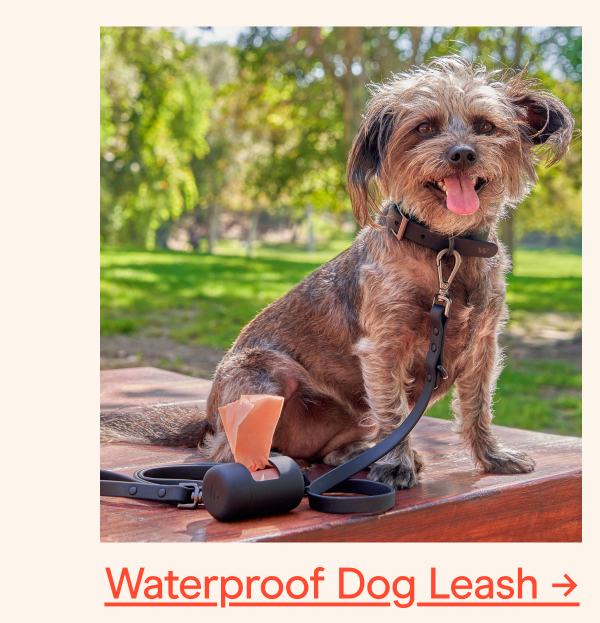 waterproof dog leash