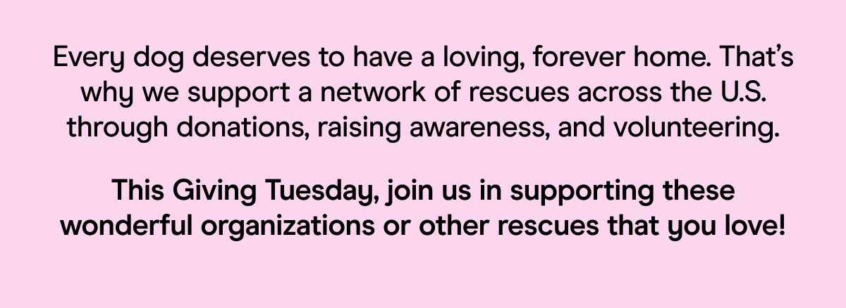 Every dog deserves to have a loving, forever home. That’s why we support a network of rescues across the U.S. through donations, raising awareness, and volunteering. This Giving Tuesday, join us in supporting these wonderful organizations or other rescues that you love!