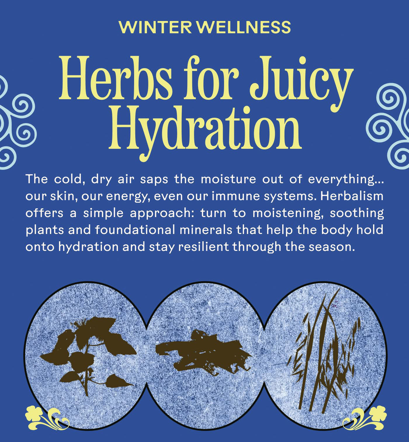 Winter Wellness Herbs for Juicy Hydration The cold, dry air saps the moisture out of everything... our skin, our energy, even our immune systems. Herbalism offers a simple approach: turn to moistening, soothing plants and foundational minerals that help the body hold onto hydration and stay resilient through the season.