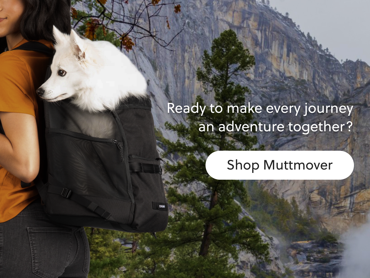 Ready to make every journey an adventure together?Shop Muttmover 