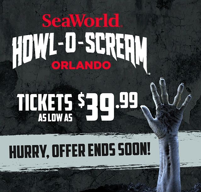 Plan your visit!