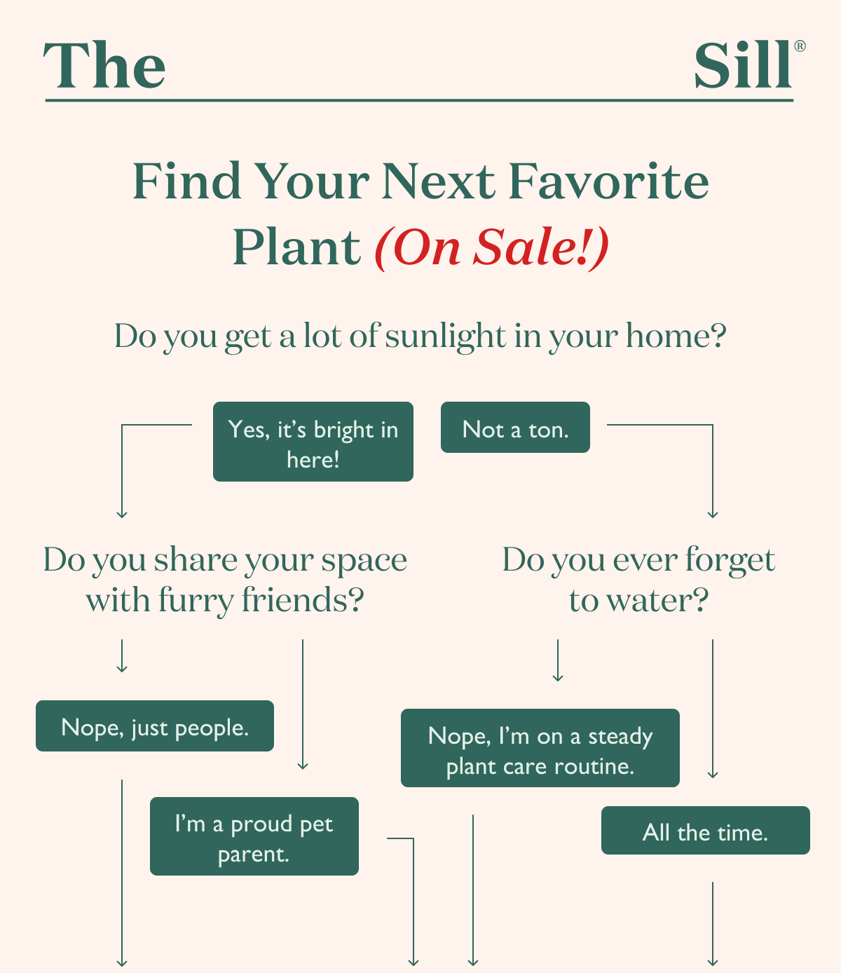 Find Your Next Favorite Plant (On Sale!)