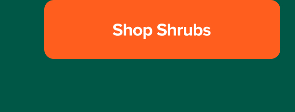 Shop shrubs>>