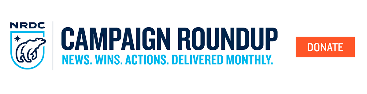 NRDC Campaign Roundup - News. Wins. Actions. Delivered Monthly.