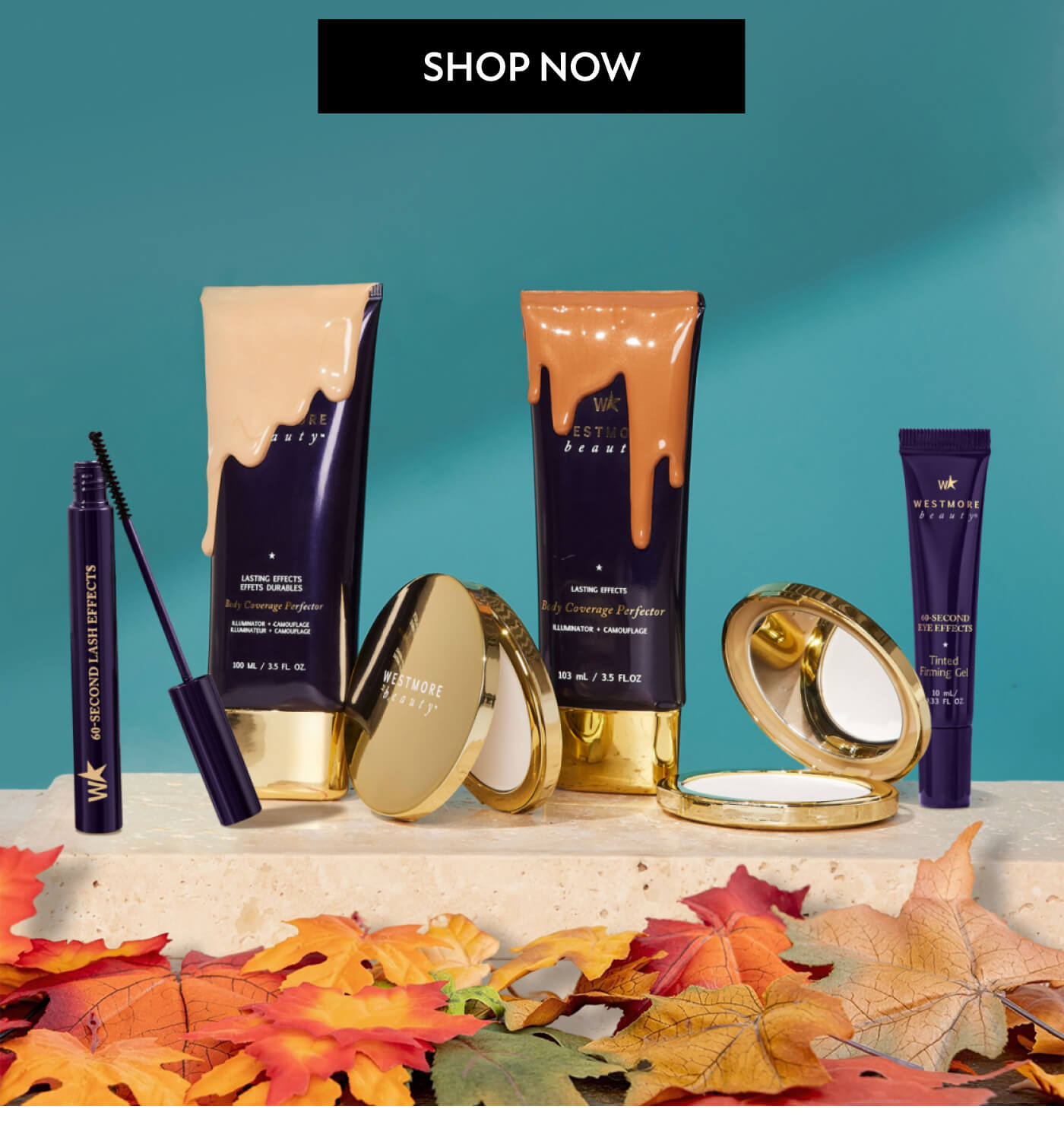 Shop Now