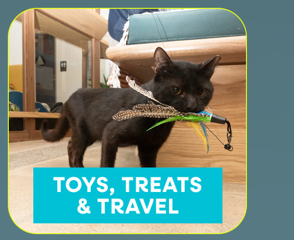 Toys, Treats     & Travel