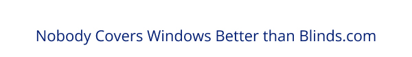 Nobody Covers Windows Better than Blinds.com